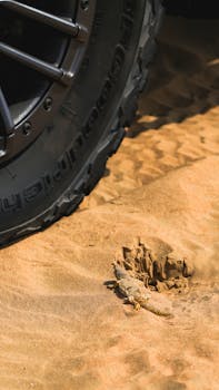 美国能源政策新动向；法国道达尔公司转向石油天然气投资，海上风电项目面临调整。