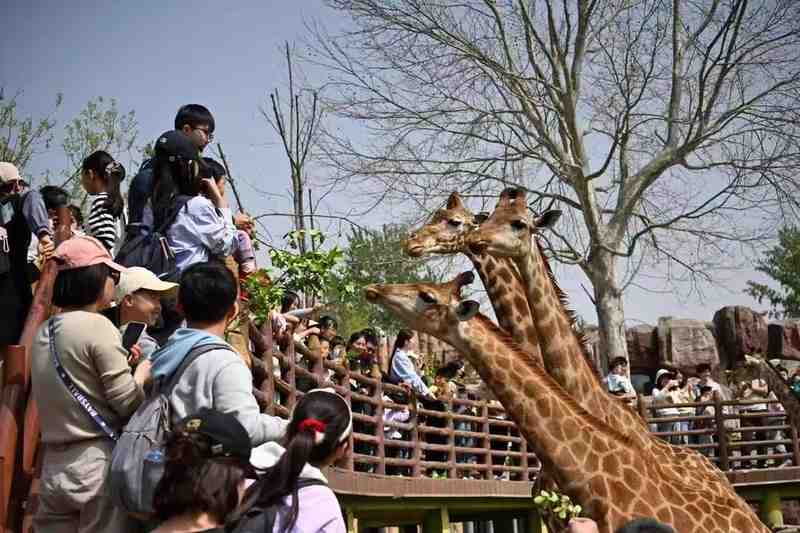  城市流量转化策略：从沉浸式场景构建看文旅增长路径 企业服务