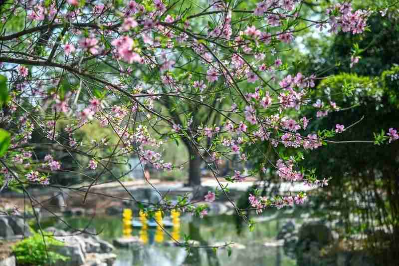 城市流量转化策略：从沉浸式场景构建看文旅增长路径