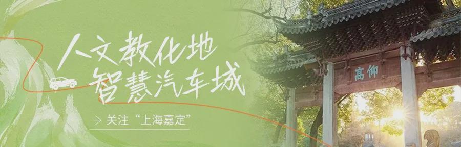 【春日游园指南】嘉定油菜花海探秘与深度打卡攻略