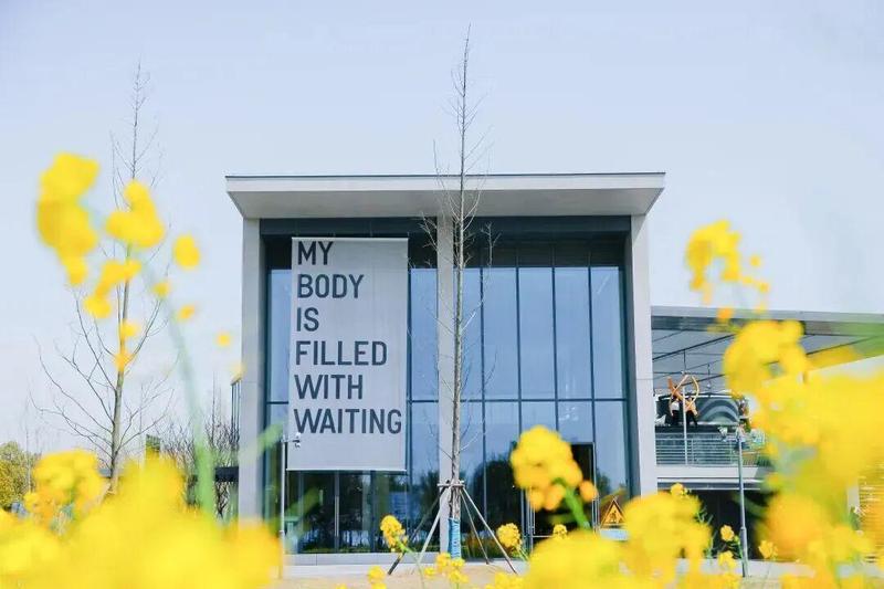  【春日游园指南】嘉定油菜花海探秘与深度打卡攻略 文化旅游