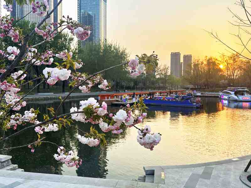  技术驱动下的城市滨水更新：北京北小河“樱花河流”治理方法论 文化旅游