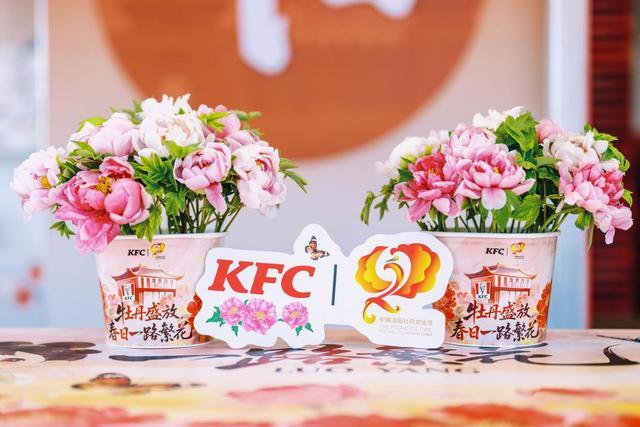  【深度拆解】当快餐巨头遇上千年花都：肯德基与洛阳牡丹的跨界商业逻辑 企业服务