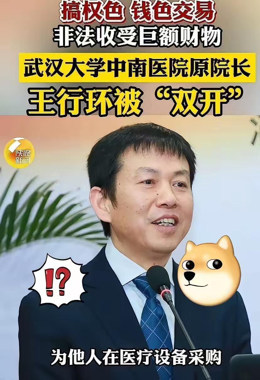  医疗反腐深水区：武汉大学中南医院原院长王行环案件制度性反思 新闻