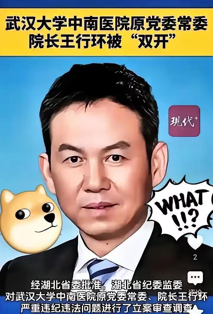  医疗反腐深水区：武汉大学中南医院原院长王行环案件制度性反思 新闻