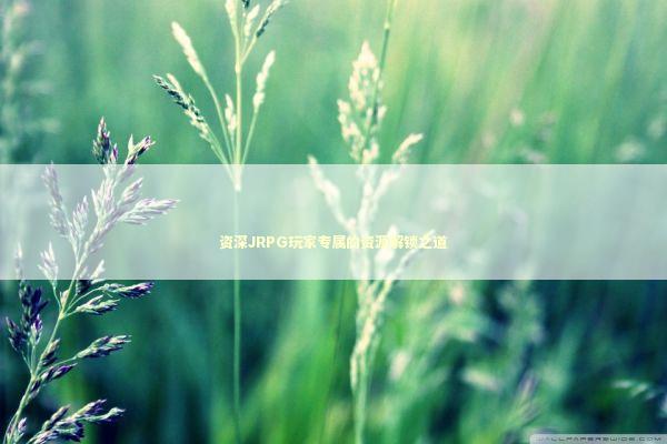 资深JRPG玩家专属的资源解锁之道