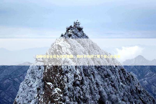 当网络安全成为日常难题，我终于找到了那个安心的答案