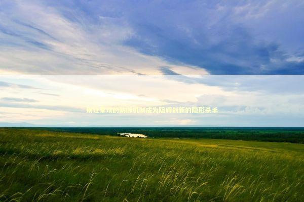 别让繁琐的防御机制成为阻碍创新的隐形杀手