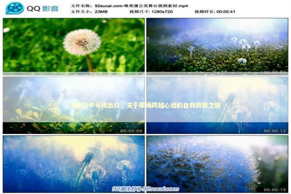 在迷茫中寻找出口，关于那场跨越心结的自我救赎之旅