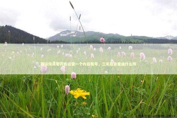 假设你从零开始运营一个内容账号，三年后会变成什么样 情感心理