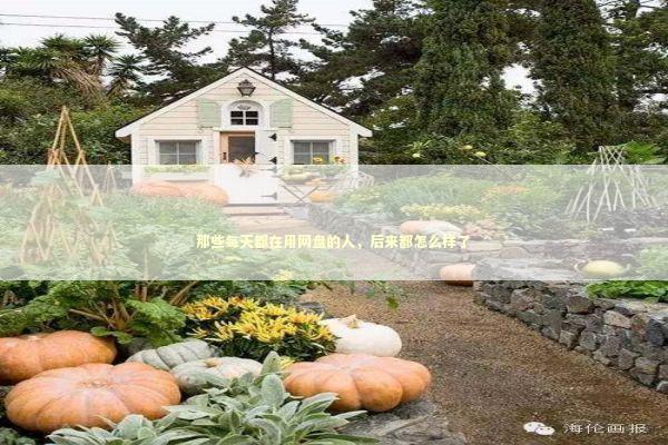 那些每天都在用网盘的人，后来都怎么样了 IT技术