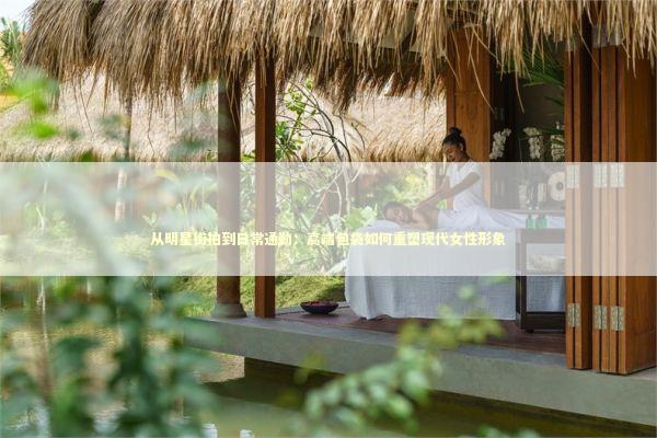 从明星街拍到日常通勤：高端包袋如何重塑现代女性形象 时尚用品