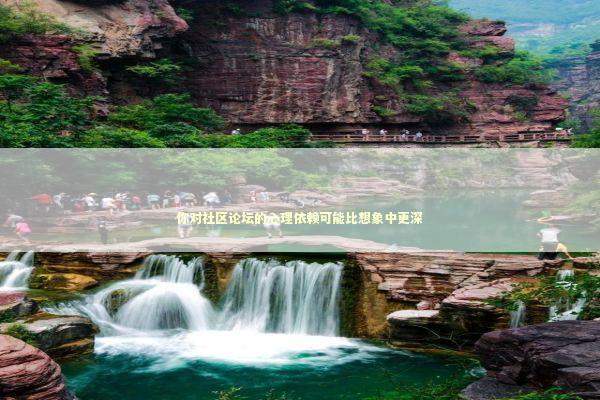 你对社区论坛的心理依赖可能比想象中更深 情感心理