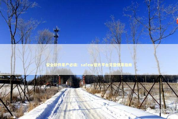 安全软件用户必读：safew官方平台完整使用指南 IT技术