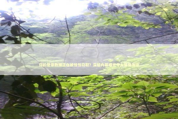 你的登录数据正在被悄悄窃取？深层内幕曝光令人背脊发凉 IT技术