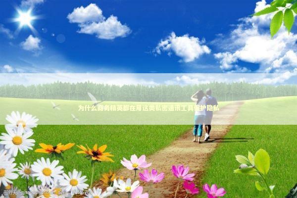 为什么商务精英都在用这类私密通讯工具保护隐私 IT技术