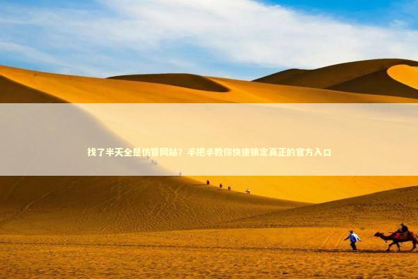 找了半天全是仿冒网站？手把手教你快速锁定真正的官方入口 IT技术